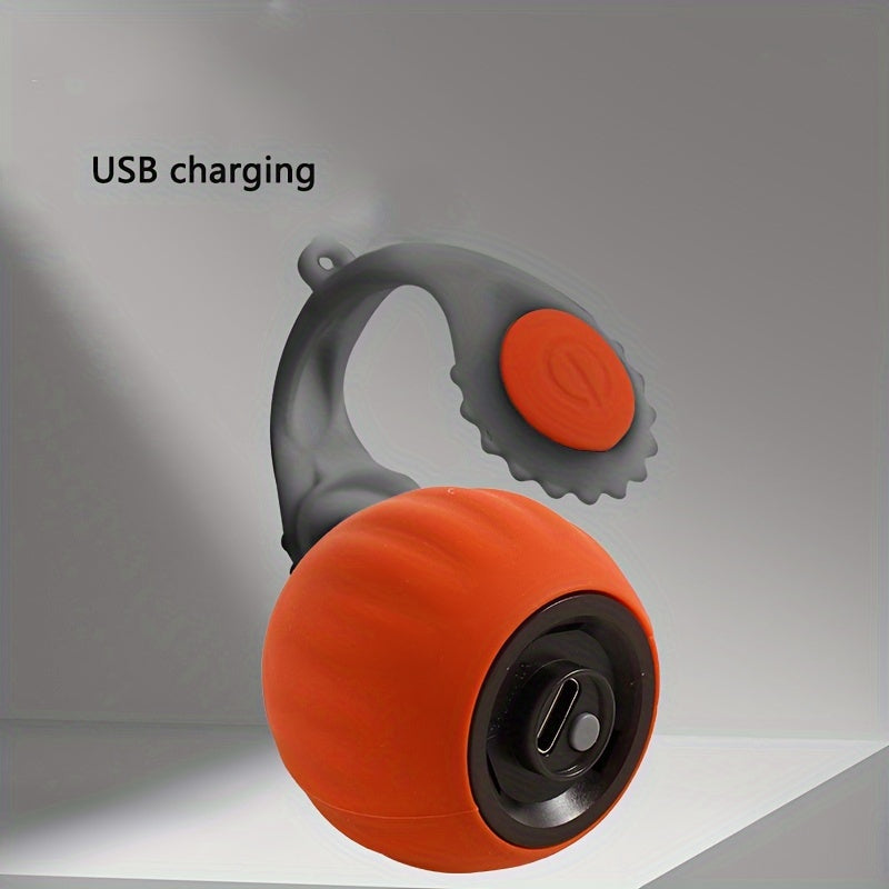 Interactive Cat Toy with Bell and Long Tail USB Rechargeable Rolling Teaser Ball in Red and Gray