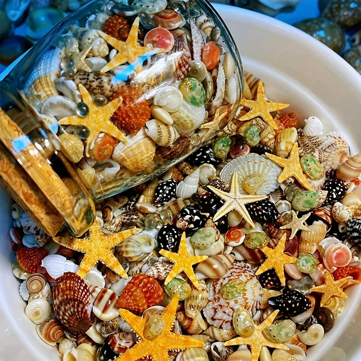 400 ta tabiiy konch shell to'plami, shisha bankada, kichik dengiz shell to'plami