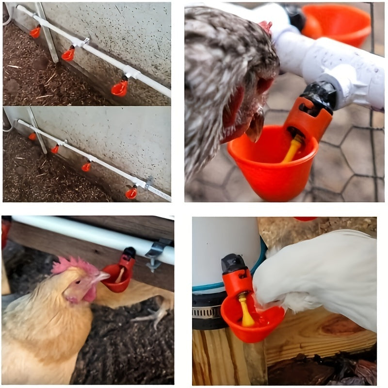 Avtomatik tovuq va parranda suv beruvchi idish, stakanlar bilan, qizil plastmassa, 3/6/9 ta paket