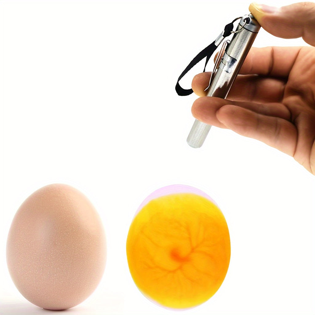 Stainless Steel Egg Incubator Tester with Candle Light and Flashlight Function