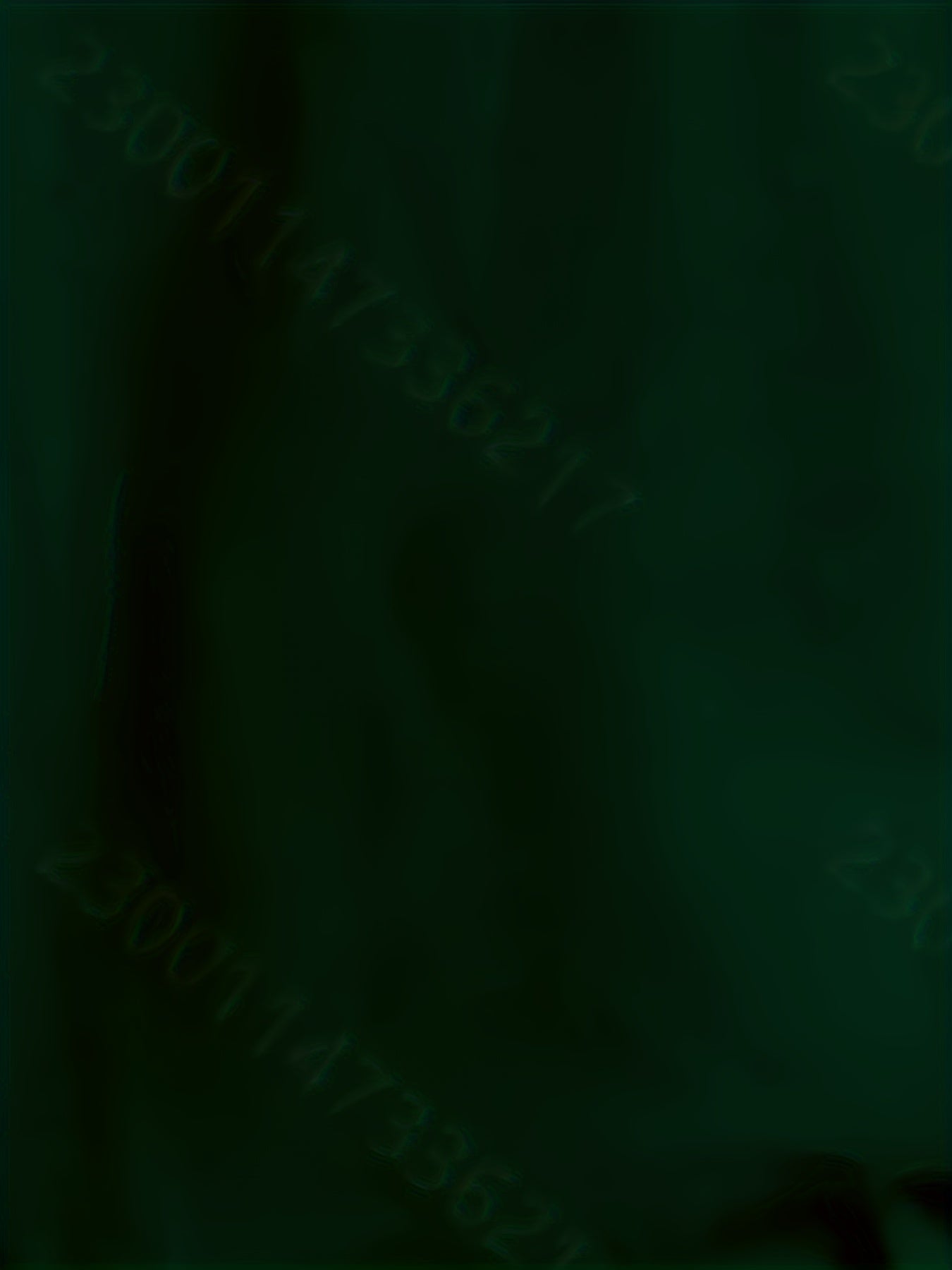 Men's Plus Size Panda Print T-Shirt Polyester Spandex Crew Neck Casual Summer