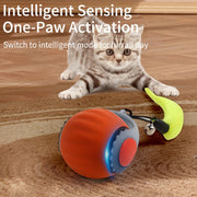 Cat Teaser Ball Toy Rechargeable Silicone Feather Cat Toy for Small Cats and Kittens