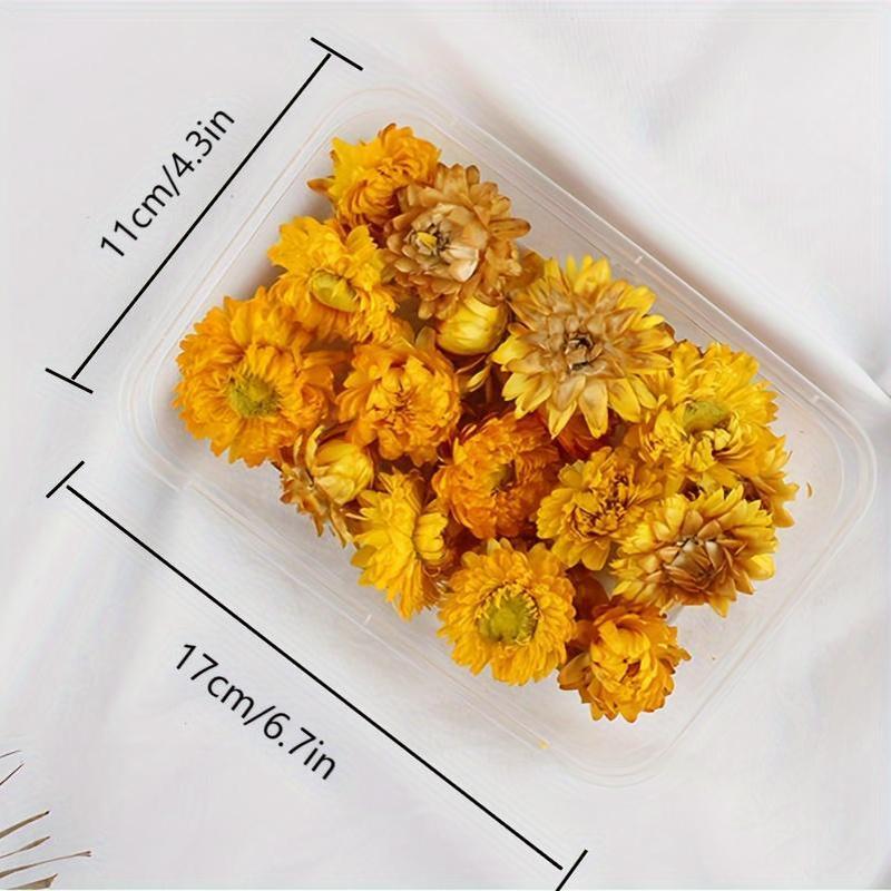 Бохо-Шик Рождественский Набор для Ремесел: Натуральный Растительный Декор для DIY Проектов, Венков и Подарков