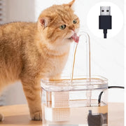 Transparent USB-Powered Pet Water Fountain for Indoor Cats and Dogs