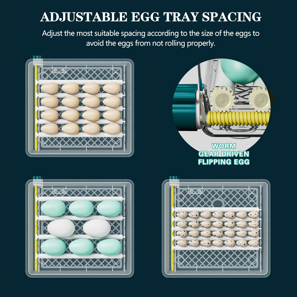 36-Egg Teal Digital Inkubator bilan sozlanadigan harorat, impulsli isitish, sovuq nurni chiqish