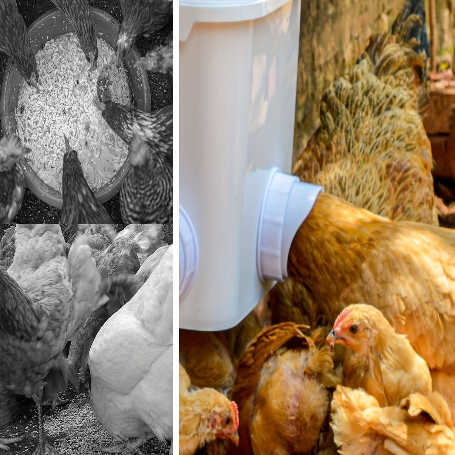 DIY Chicken Feeder Kit 20pcs Rainproof Gravity-Fed for Buckets Bins Troughs