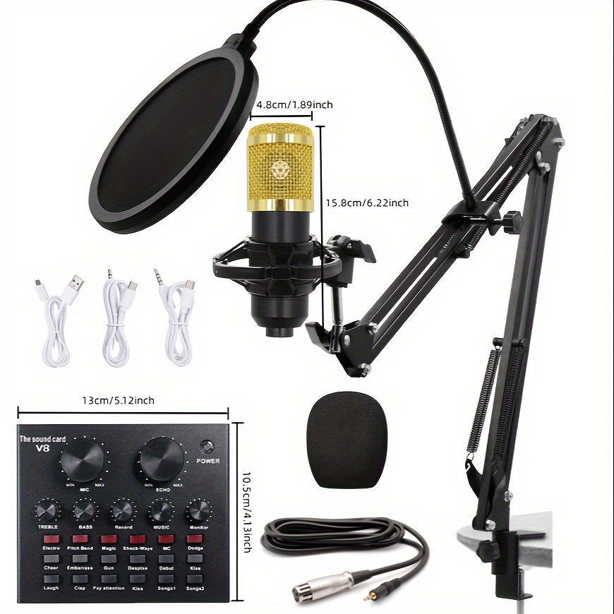 Black Condenser Studio Microphone Kit for Mobile Phones and Laptops with Suspension Arm and Pop Filter