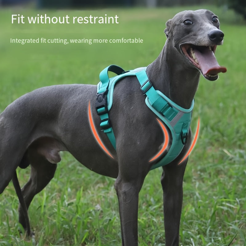 Katta zotlar uchun mustahkam, sozlanadigan taktik it yelkası, oson boshqarish tutqichi va sozlanadigan tasmalari bilan, bir nechta ranglarda mavjud.