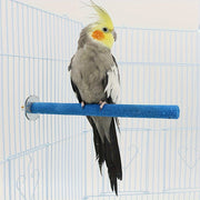 Bird Toy Wooden Grinding Claw Stick for Parrots Cage Perch Station Random Color