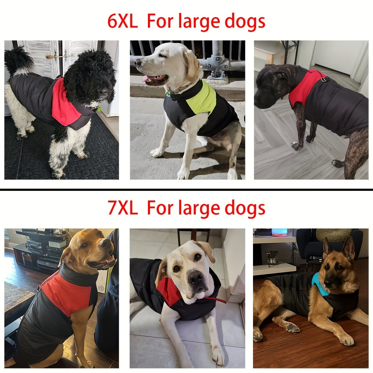 Windproof Winter Dog Jacket for Medium Breeds Polyester Zippered Warm Outdoor Apparel