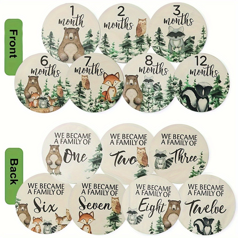 Juego de 12 tarjetas de hitos de madera para anuncios mensuales y seguimiento del crecimiento en fotografía