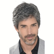 Men's Short Wavy Gray Wig with Side Bangs, 25.4cm Synthetic Fiber for Daily Wear and Parties