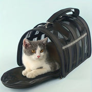 Portable Pet Carrier Bag with Locking Zippers Airline Approved for Dogs and Cats
