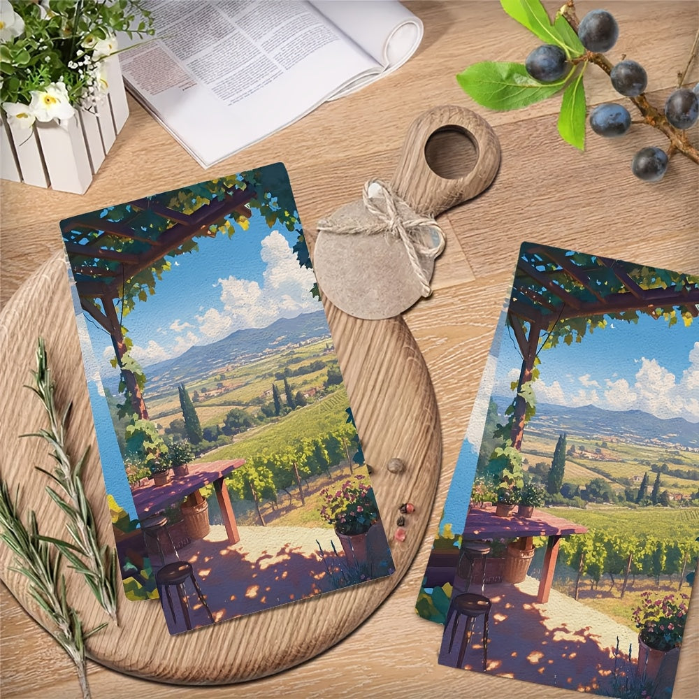 2-Pack Plush Kitchen Towels 16x24 Inches Absorbent Soft Dish Towels