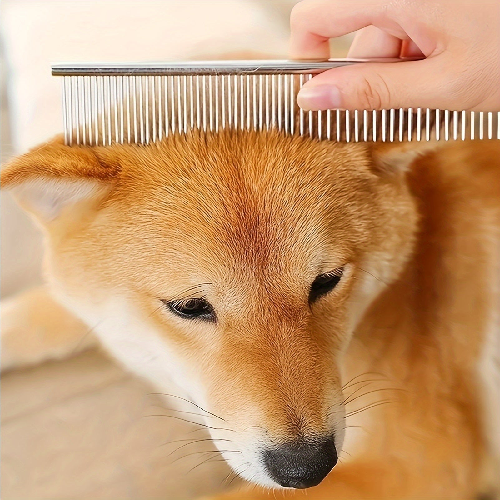 Pet Grooming Kit Stainless Steel Includes Blue Trimming Scissors Curved Scissors Combs for Dogs