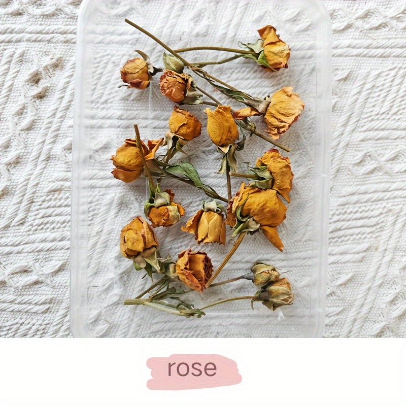 Бохо-Шик Рождественский Набор для Ремесел: Натуральный Растительный Декор для DIY Проектов, Венков и Подарков