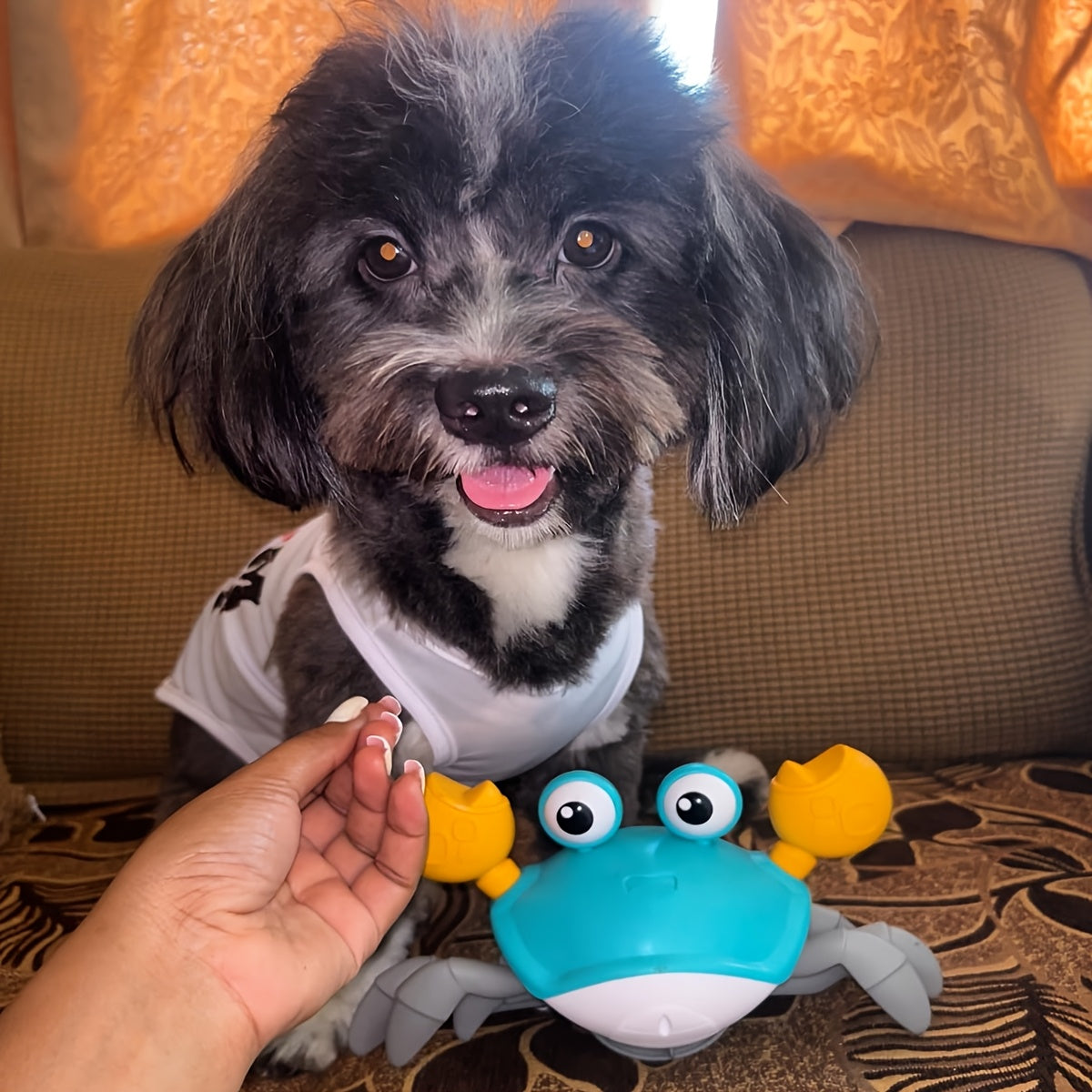 Baby Crawling Toy with LED Light Music and USB-C Charging for Babies 18 Months+