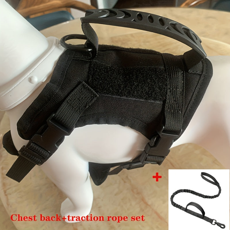 Adjustable Polyester Cat Harness Set with Leash for Walking