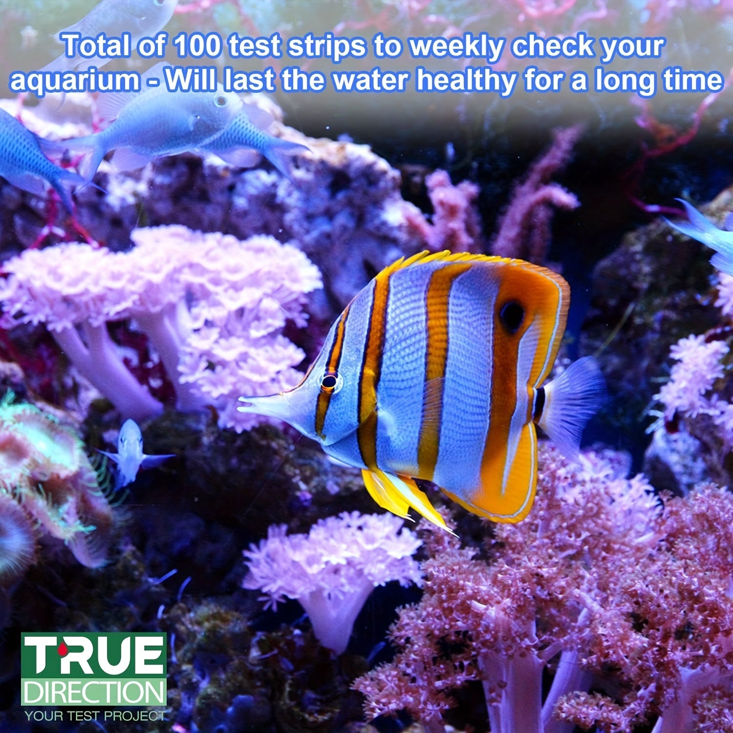 7-Way Aquarium Test Strips for Freshwater Saltwater Fish Tanks Ponds Water Quality