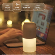 Portable USB Humidifier with Night Light Car Home 300ml Dual Spray