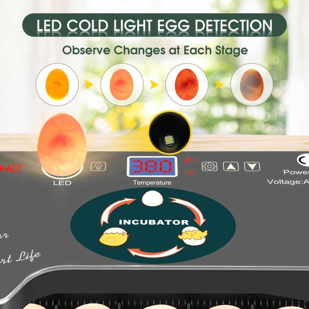 12 Авто Инкубаторов