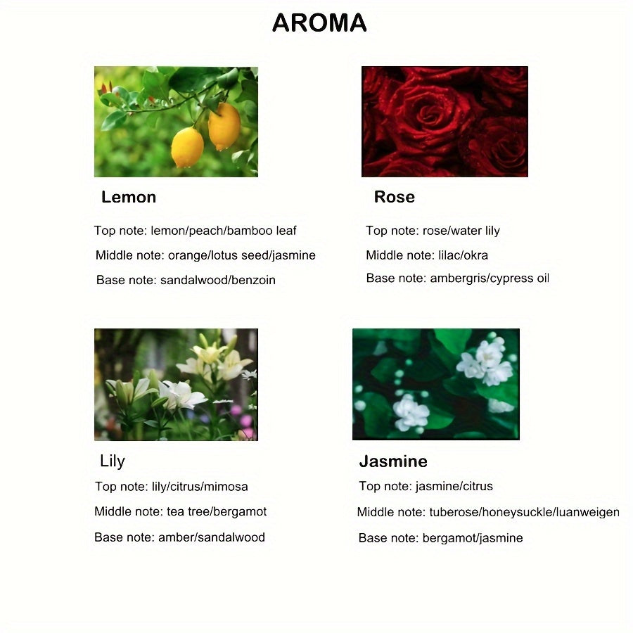 Reed Diffuser Set 50ml with Dry Flower Canes for Home Fragrance and Odor Elimination