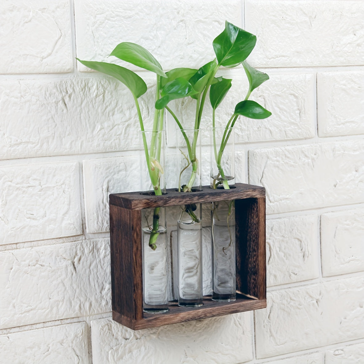 Glass Plant Container with Wooden Stand and Test Tubes for Hydroponic Indoor Gardening