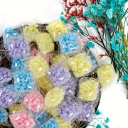 Laundry Fragrance Beads Pack with Lemongrass Scent for Travel and Hotel Use