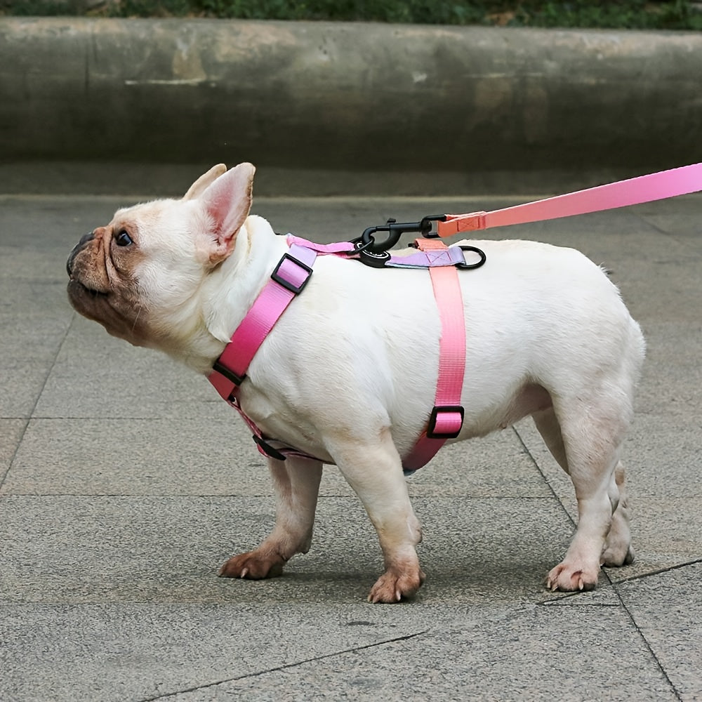 Adjustable Dog Harness for Small to Medium Dogs Polyester Gradient Pastel with Buckle Handle