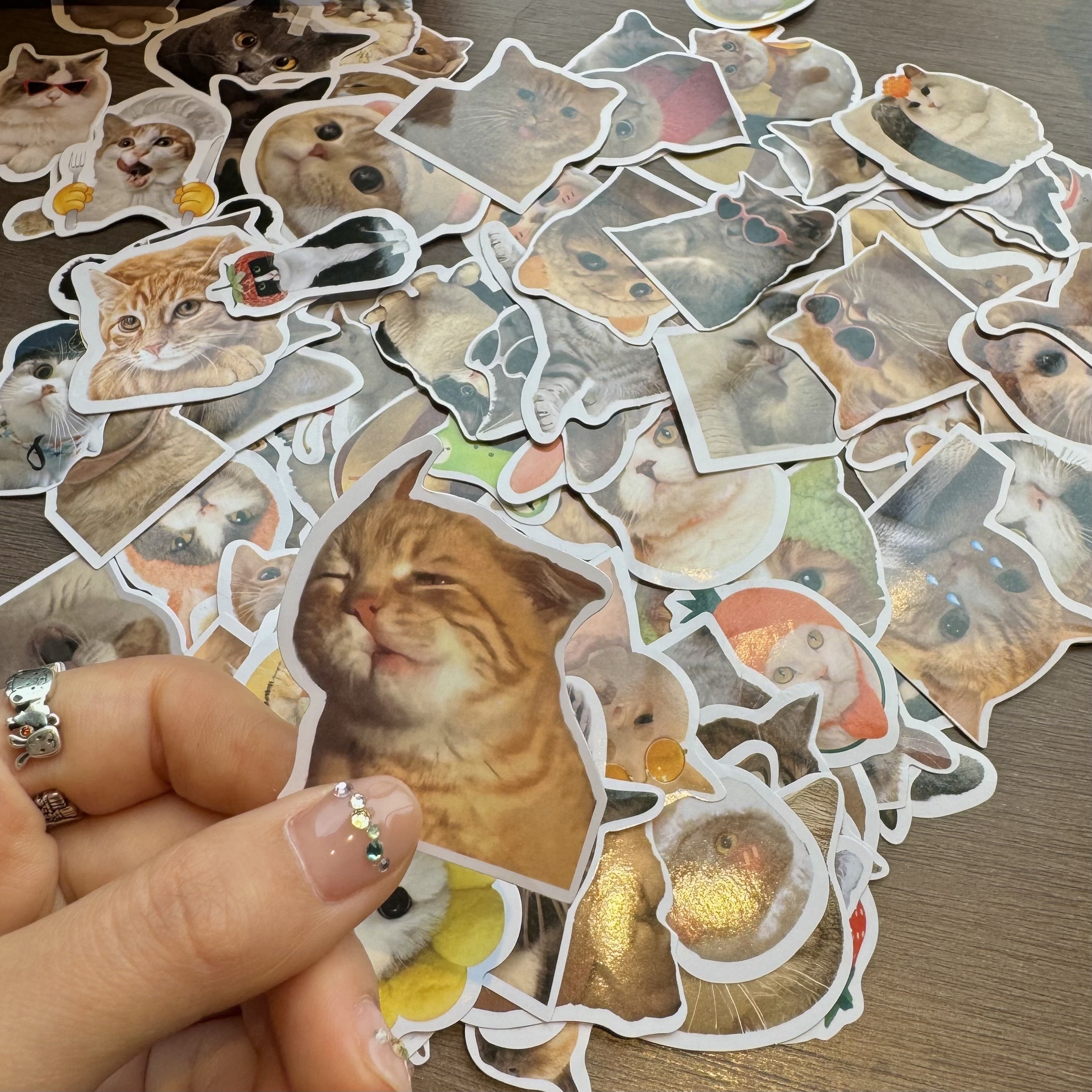 100 қўзғолон мураккаб мурувватли қўлёзмалар, ялтирайдиган, ўз-ўзини қўллаш учун, багаж, ноутбук, гитара, сув идиши учун