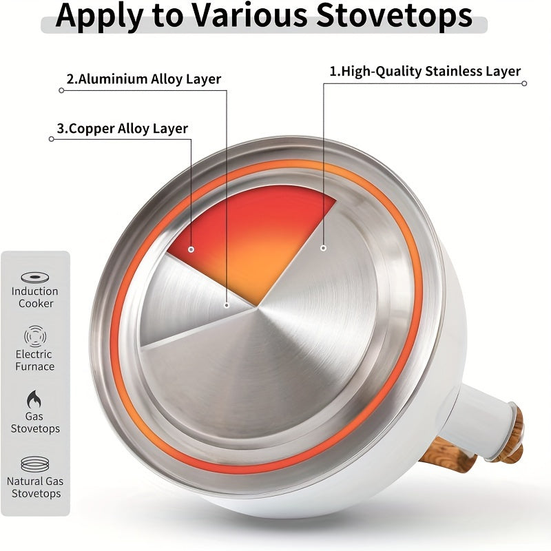 Stainless Steel Whistling Kettle 2.5L for Gas and Induction Stoves