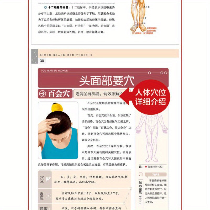 Colorful Illustrated Human Body Acupoints Book for Traditional Chinese Medicine and Disease Treatment