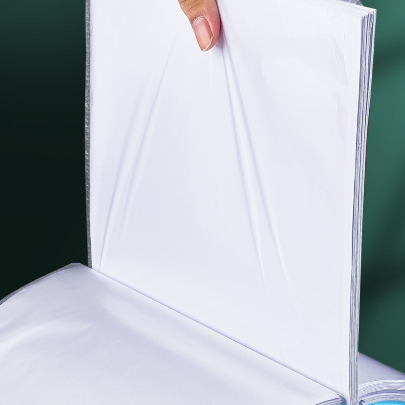 A4 Transparent PP Plastic File Folders Set for Office Art and Photo Storage
