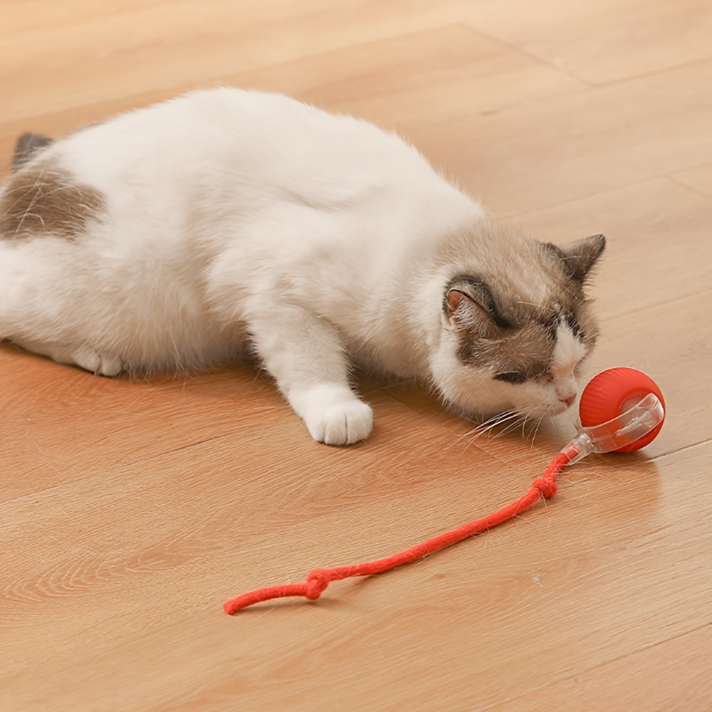 Interactive Cat Toy with Silicone Ball and USB Rechargeable Battery for Small Indoor Cats