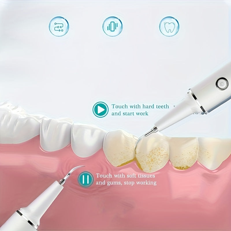 USB Rechargeable Electric Tooth Cleaner with LED Light and Interchangeable Brush Heads