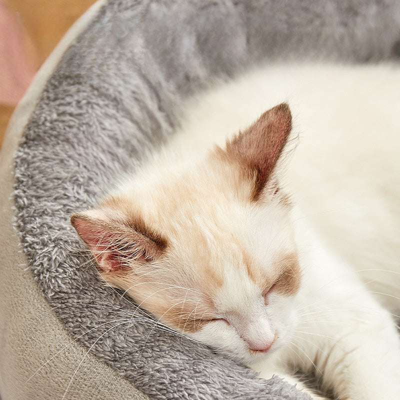 Oval Pet Bed for Cats and Dogs Cozy Classic Design All-Season Plush Nest