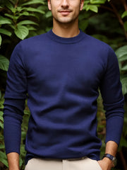 Men's Viscose Knit Crew Neck Sweater Long Sleeve Solid Casual Autumn Winter