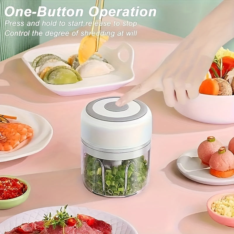 Portable Electric Mini Garlic Chopper 100/250ML Rechargeable Handy Food Chopper