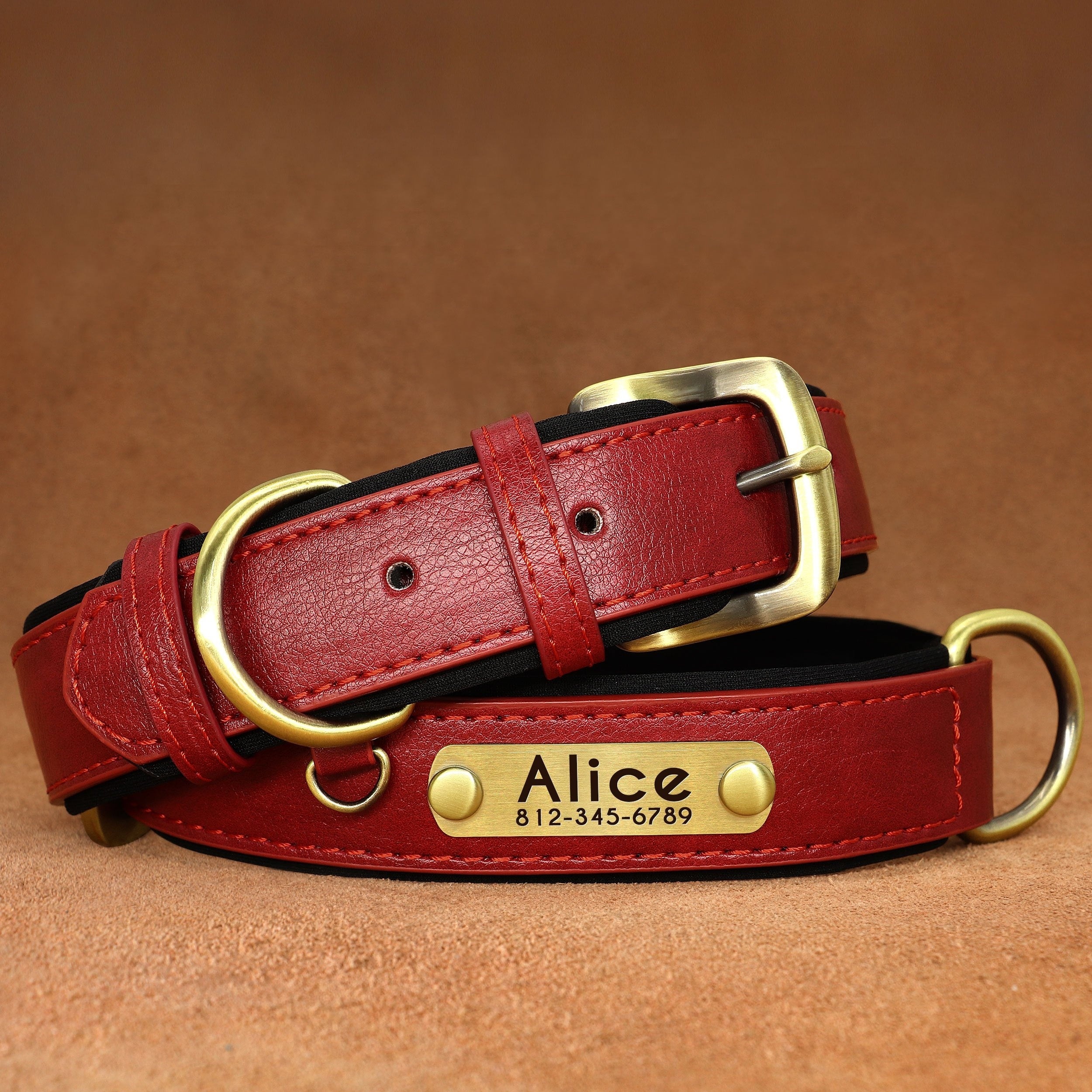 Customized Faux Leather Dog Collar with Neoprene Padding and Nameplate for Small to Medium Dogs
