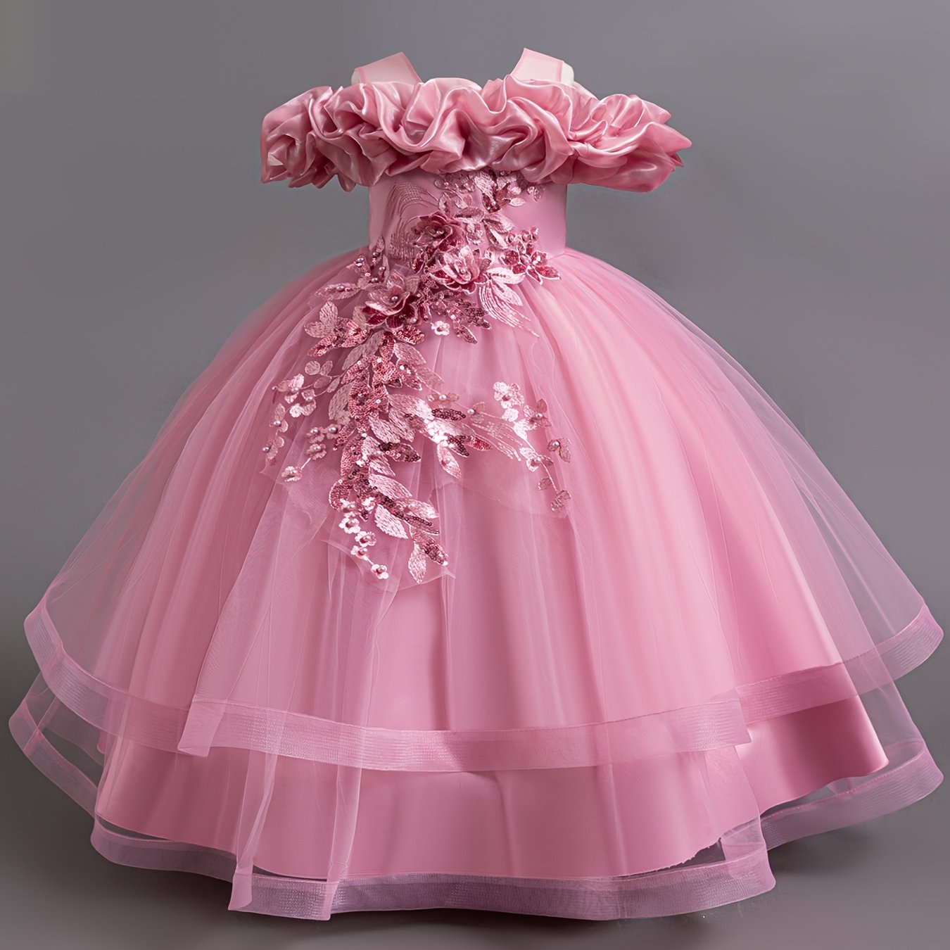 Girls Embroidered Mesh Ball Gown Dress for Parties and Holidays Long Length