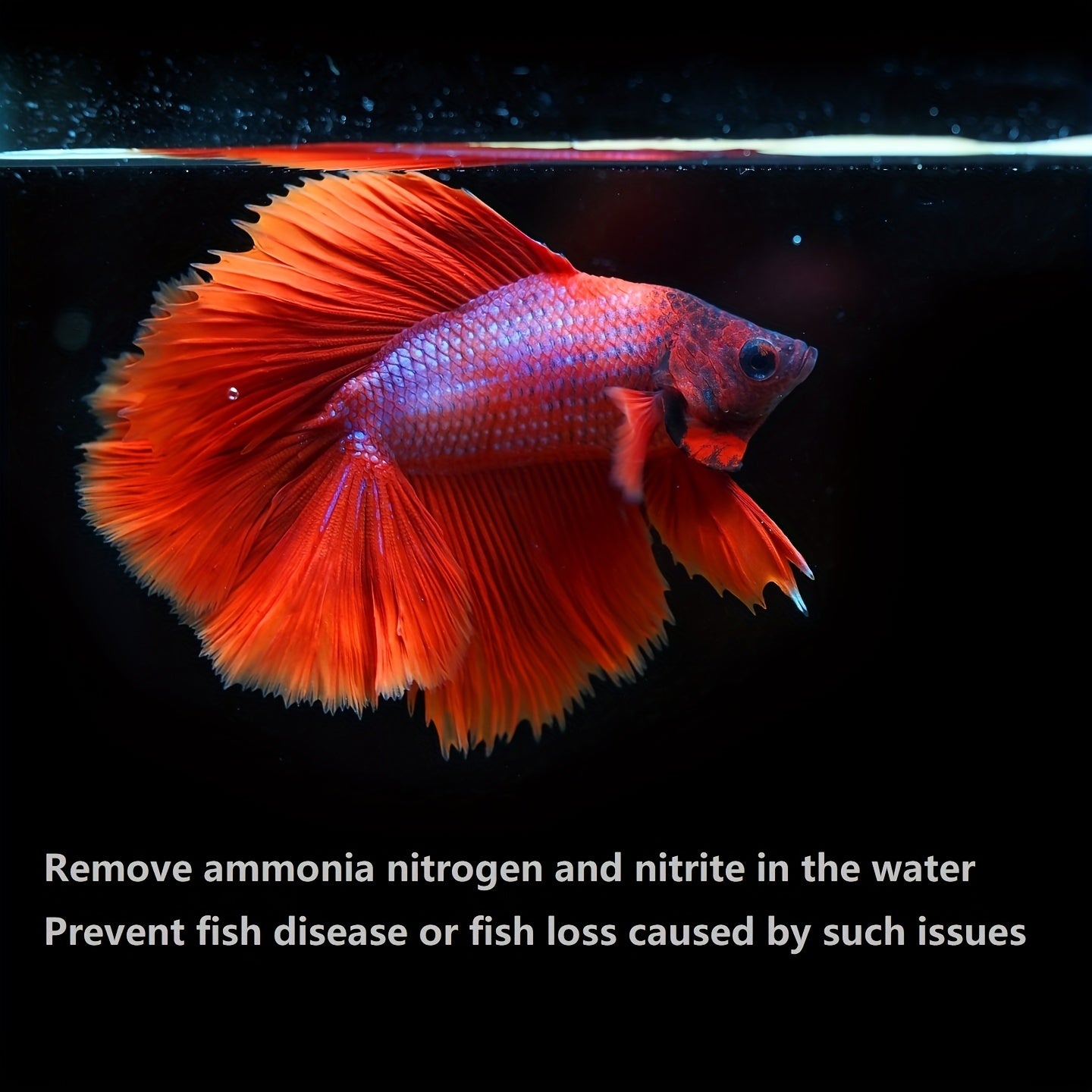 Aquarium Filtration Resin for Freshwater and Saltwater Tanks 100ml Tannin and Waste Removal