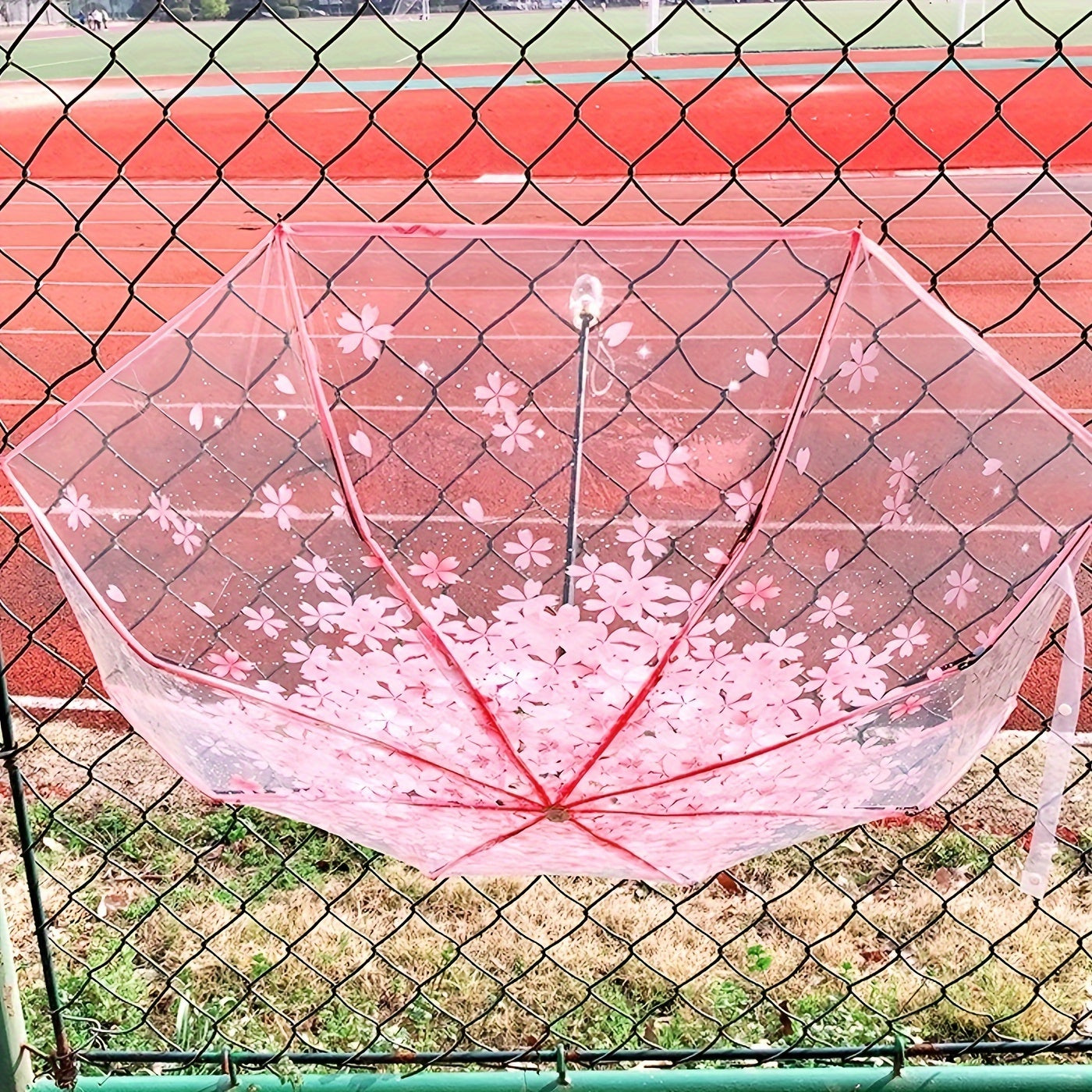 Foldable Clear Outdoor Umbrella Sun Rainproof Manual 8 Ribs