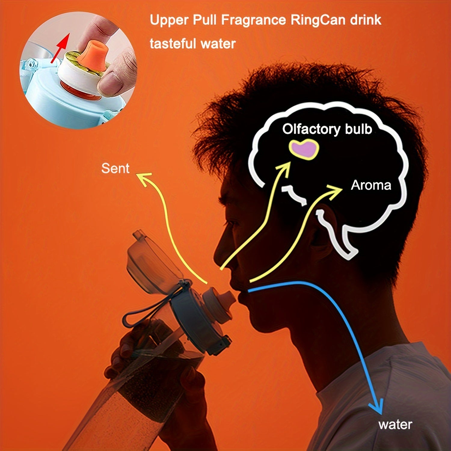 Zero Sugar Fruit Flavor Pods for Sports Bottles BPA-Free Lightweight Hydration