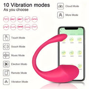 Female Remote Control Vibrator Outdoor Wearable with 9 Speeds and Silent Mode