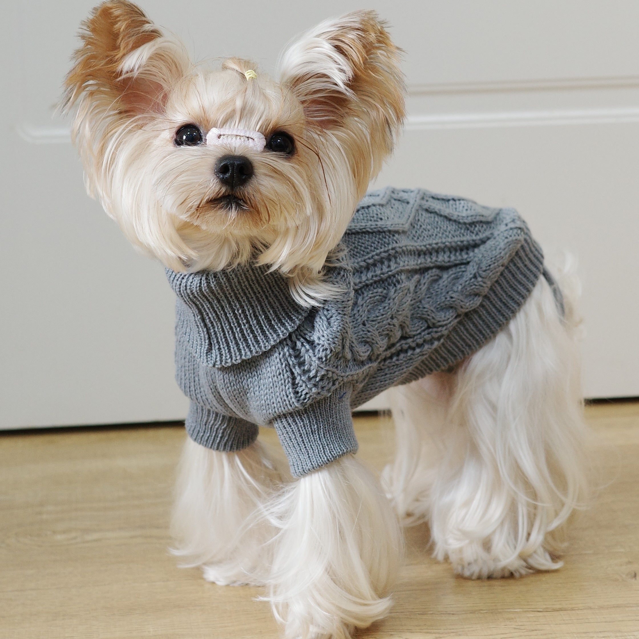 Knit Dog Hoodie with Floral Design All-Season Pullover for Small to Large Breeds