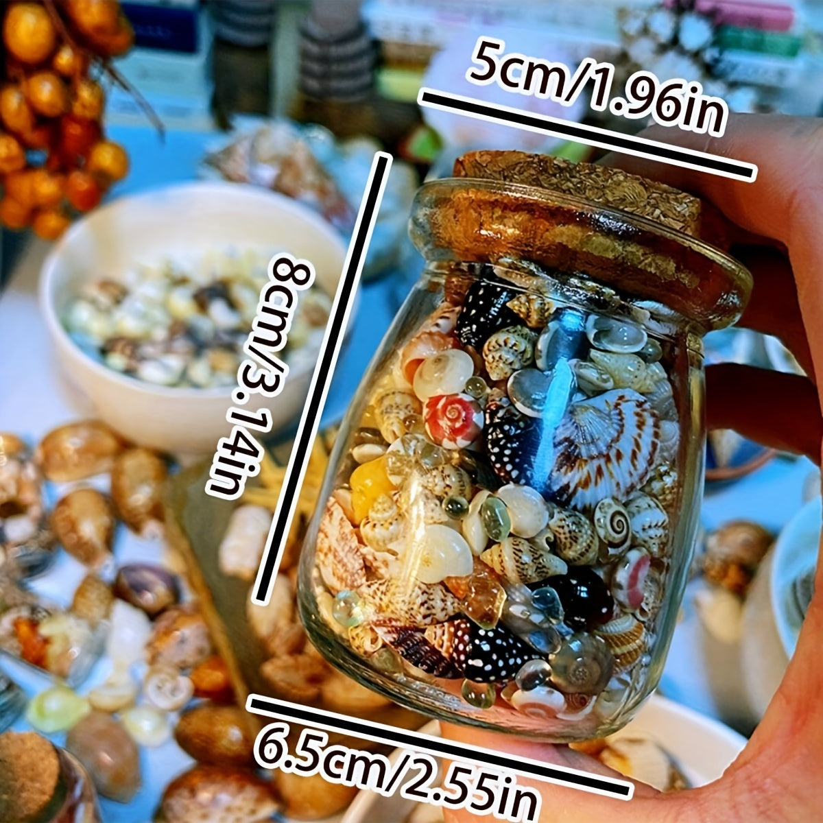 400 ta tabiiy konch shell to'plami, shisha bankada, kichik dengiz shell to'plami