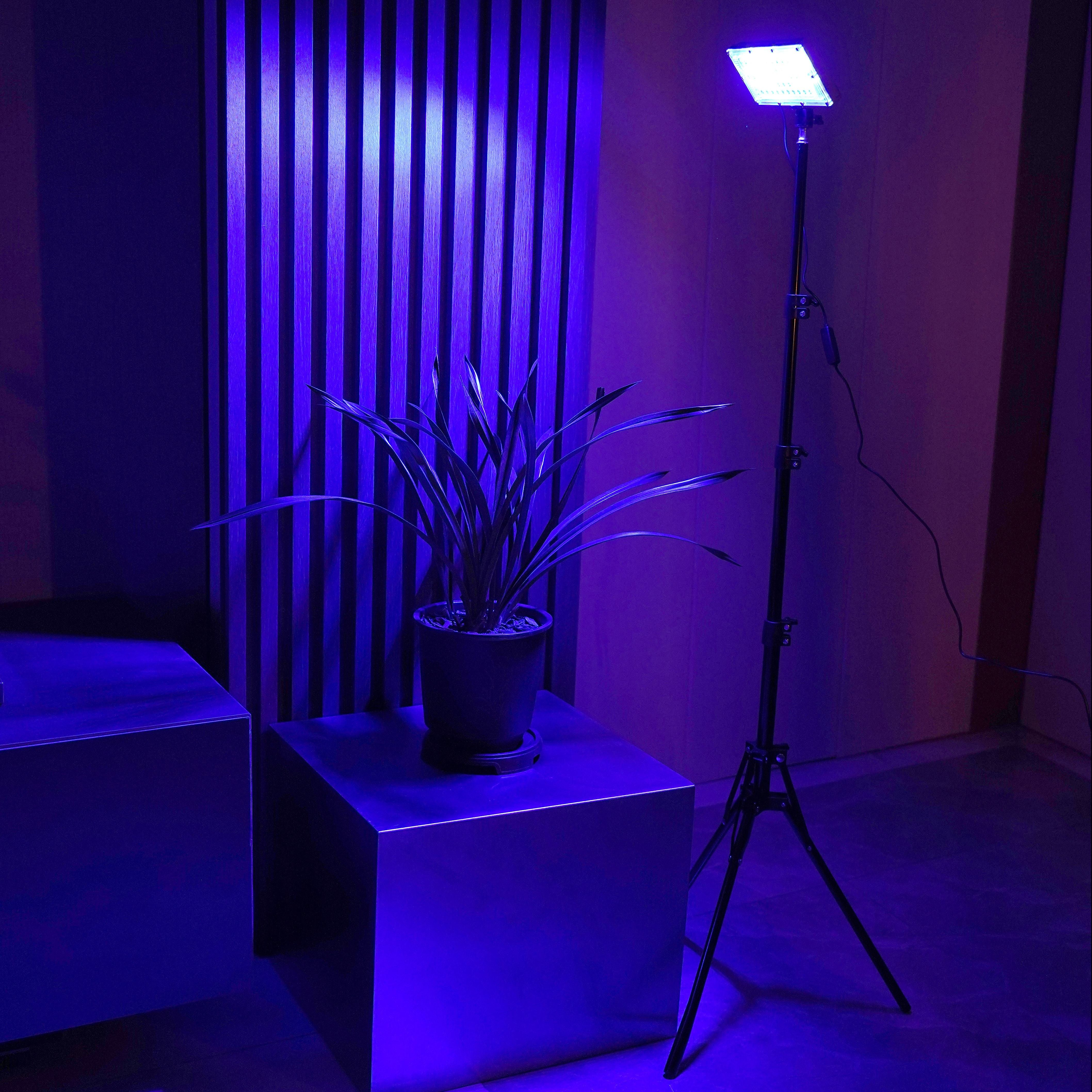 50W LED свет для выращивания растений с регулируемой стойкой для комнатных и крупных растений