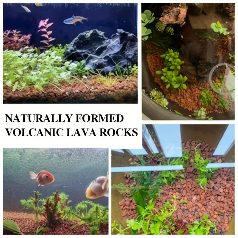 Black Lava Stones for Aquariums and Terrariums Natural Volcanic Eruption Aquarium Plants Landscaping