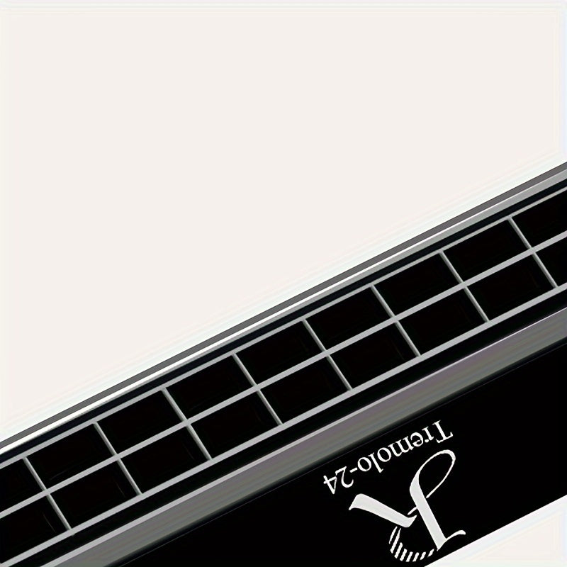 Губная гармошка диатоническая на 24 отверстия в тональности C, черный металл, с футляром