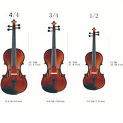 4/4 Solid Maple Violin for Beginners and Professionals with UV Coating Ebony Knobs Carbon Fiber Tailpiece and Triangle Case